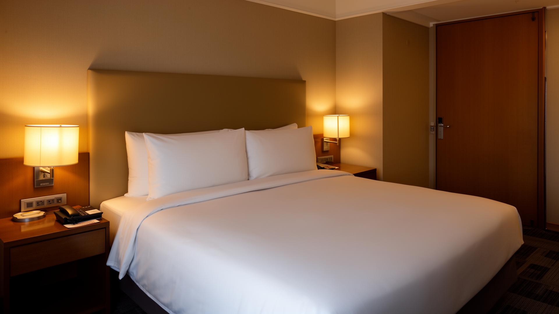 Discreet professional bed bug treatment for hotels and hospitality venues in Leicester